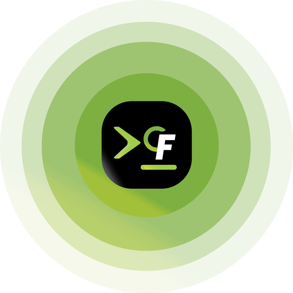 Custom website development and web applications