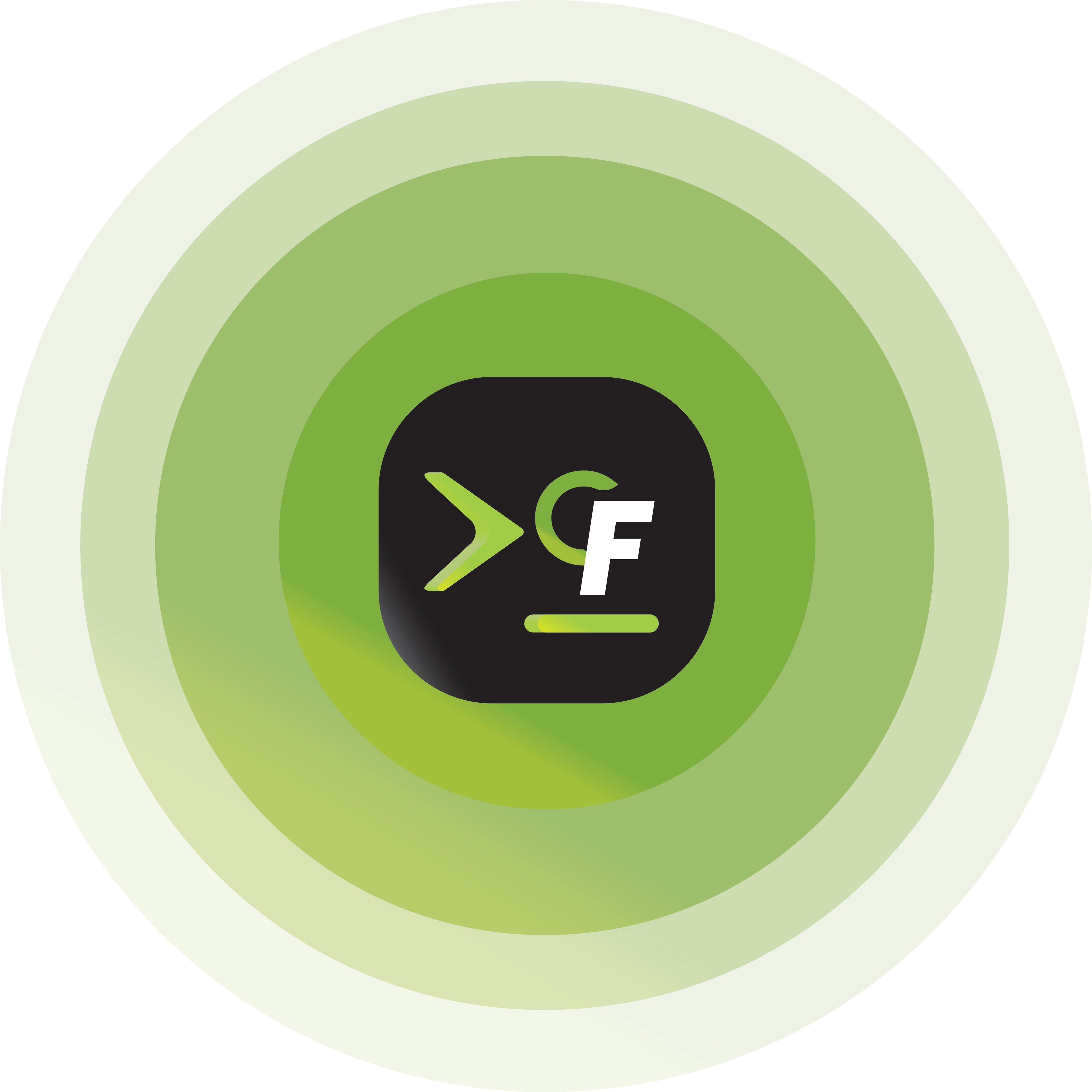 Homepage & Key Page Audit (SEO, UX & Performance)